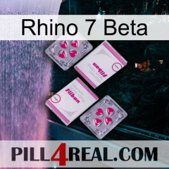 Rhino 7 Beta 33